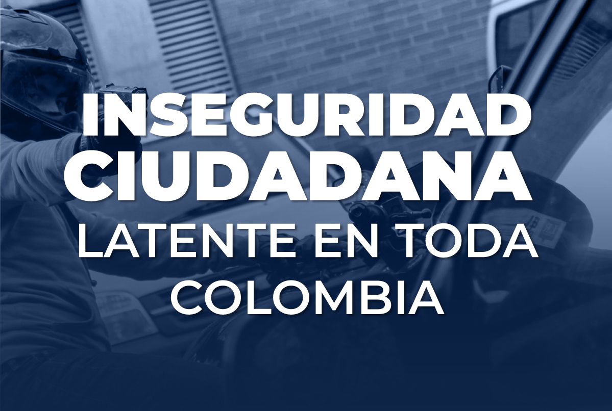BLOG-INSEGURIDAD-CUIDADANA-IMG-PRINCIPAL